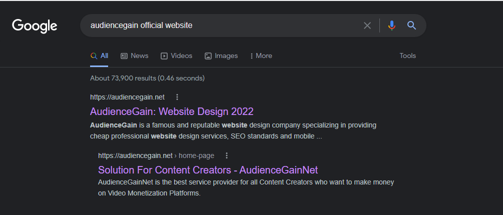 a screenshot when we search for audiencegain on google
